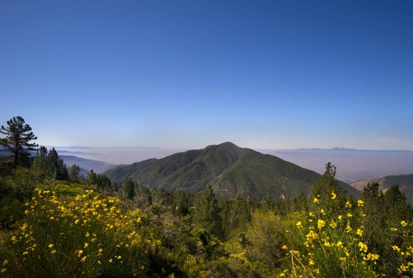 Scenic view of Rialto, California