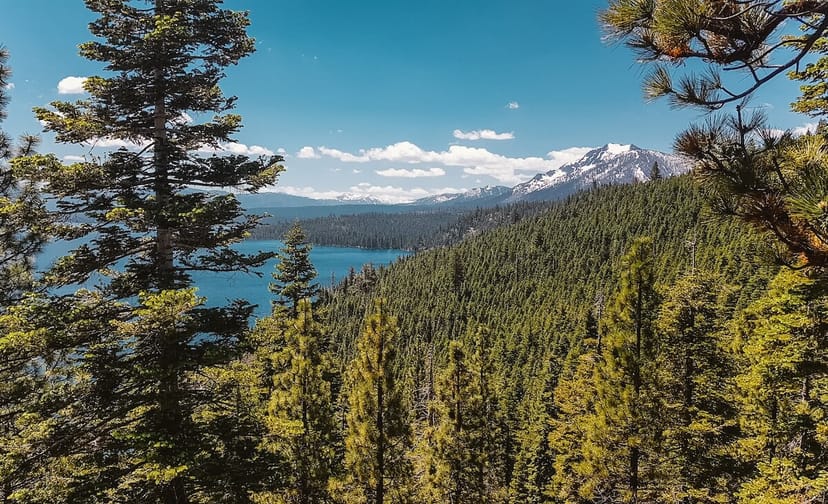 Scenic view of Tahoe City, California