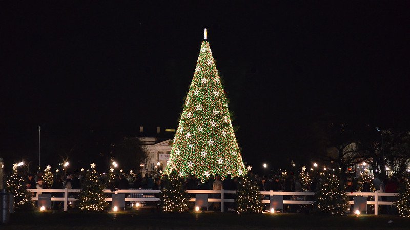 Washington DC National Christmas Tree