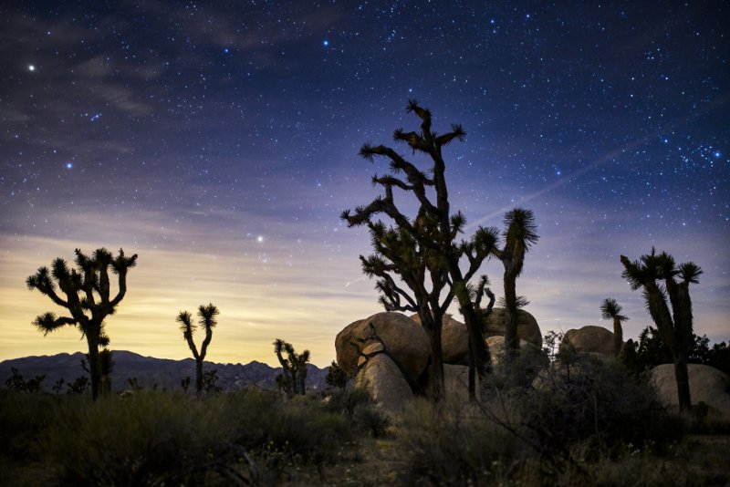 13 Best Places Like Joshua Tree National Park