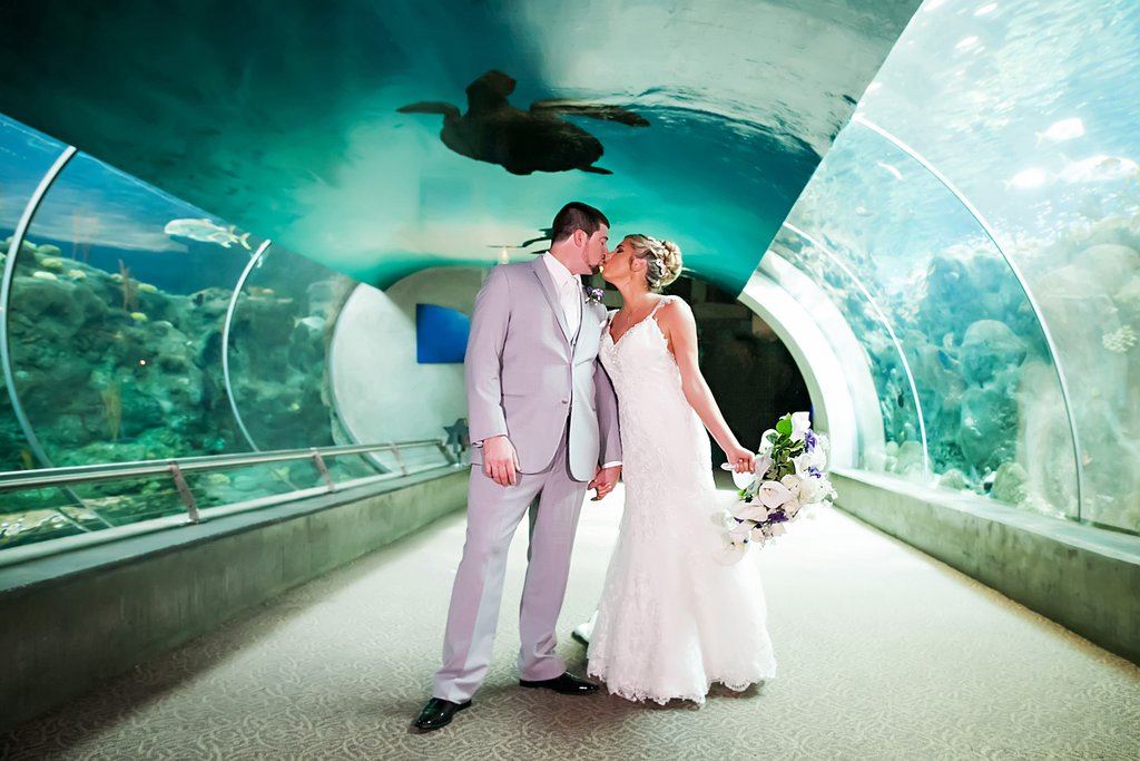 newly weds kissing at the Florida Aquarium