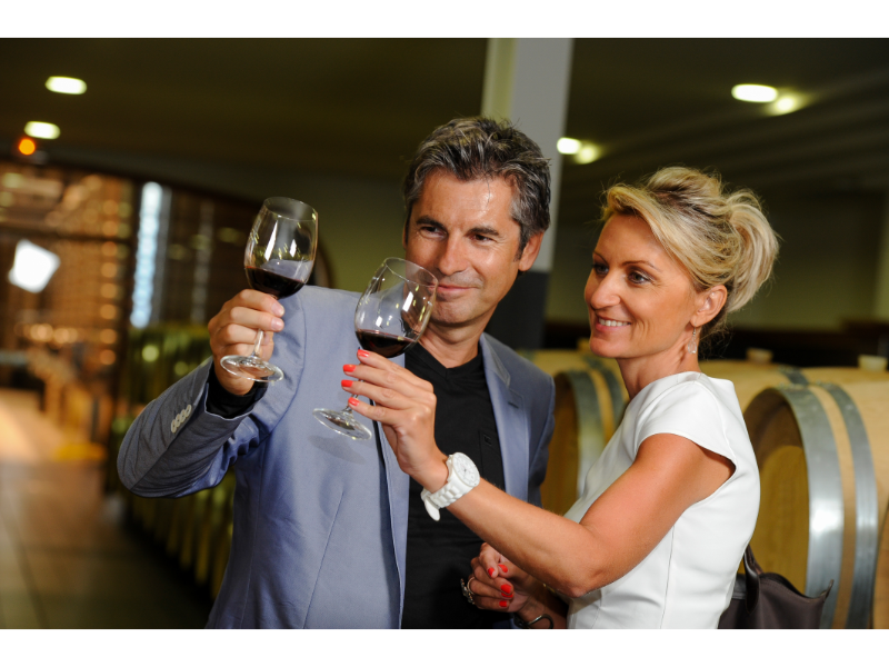 Best Wine Tours in Napa Valley: Expert Recommendations