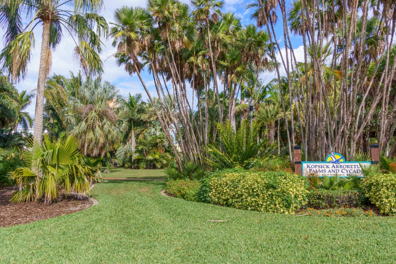 Gizella Kopsick Palm Arboretum in St. Petersburg, Florida