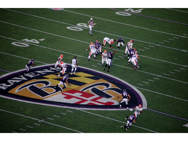Baltimore Ravens during the NFL season