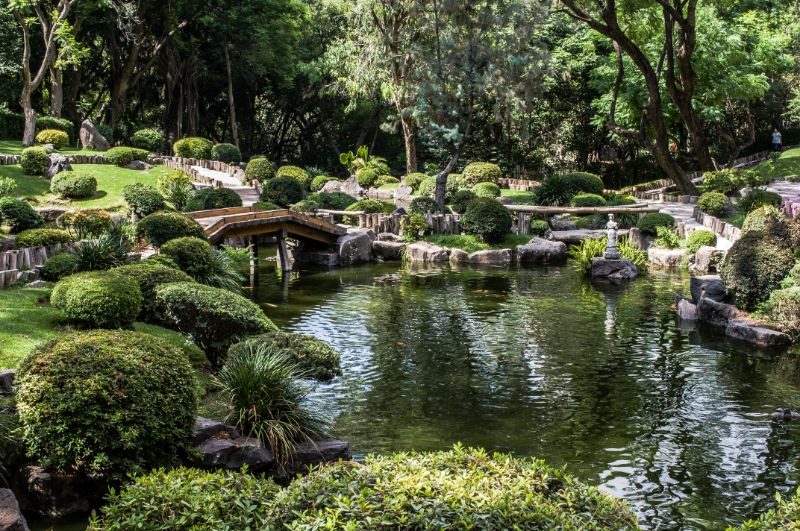A Japanese garden located in the middle of Colomos forest in Guadalajara, Mexico