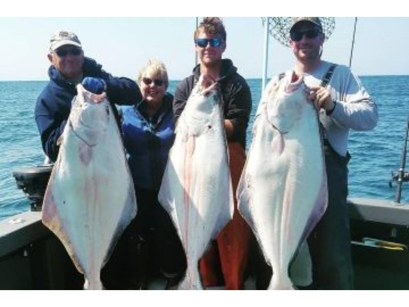 Homer, Alaska is well-known for its exceptional halibut fishing opportunities.
