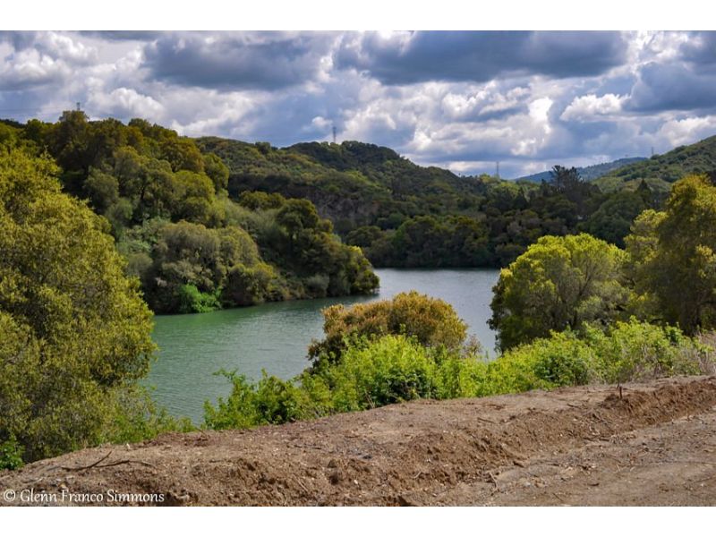 Stevens Creek County Park, nestled in the heart of the Bay Area, provides an idyllic setting for a leisurely picnic by the lake