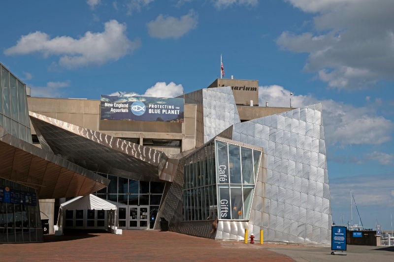 The New England Aquarium is a public aquarium located in Boston, Massachusetts, USA