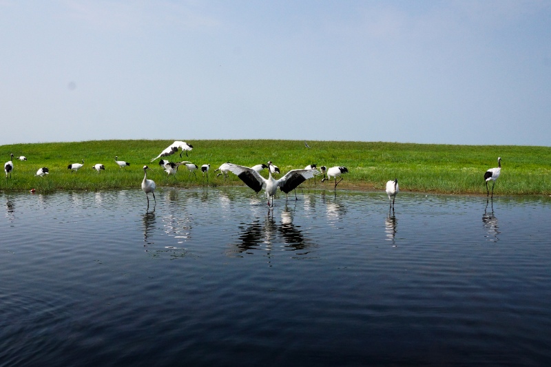 16 Fun & Best Things to Do in Qiqihar, China