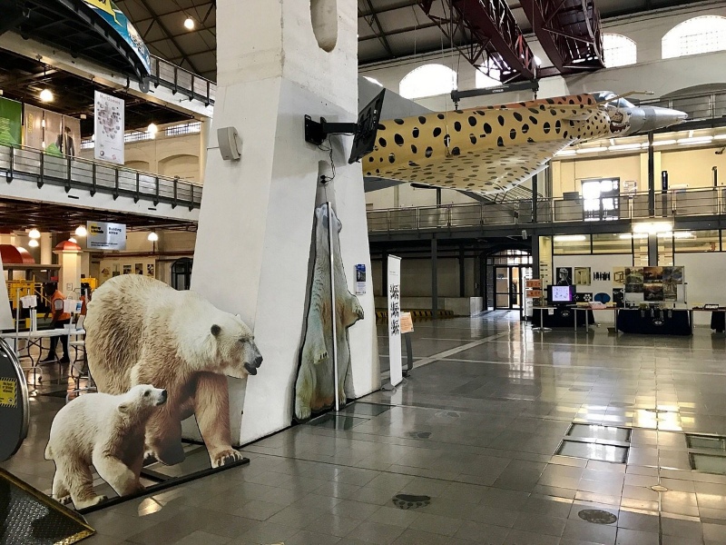 Exhibit at Sci-Bono Discovery Centre