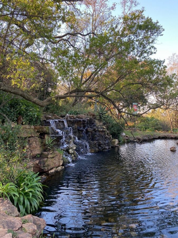 The Wilds Nature Reserve in Johannesburg
