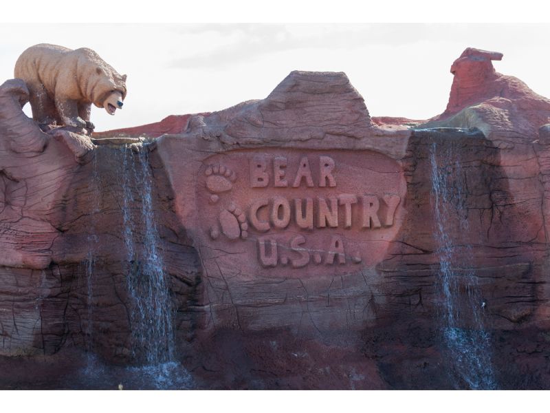 Bear Country USA is a drive-through wildlife park where visitors can witness and admire various species of bears like black bears, grizzly bears, and polar bears, as well as other animals such as elk, wolves, and mountain lions, all in a natural habitat.
