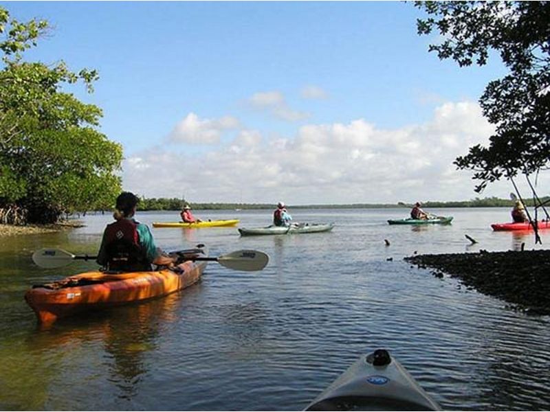 Experience the beauty of Traverse City from the water by renting a kayak or paddleboard.