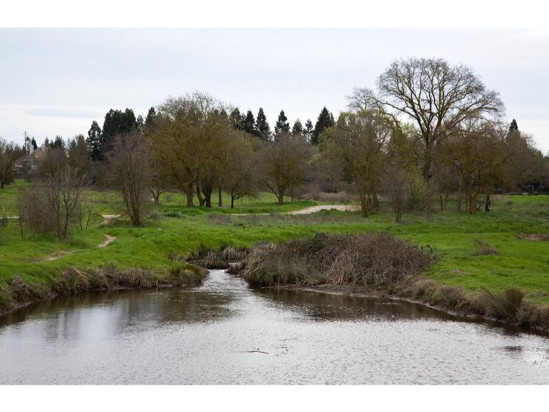 Elk Grove is home to many parks, trails, and wildlife reserves that offer endless opportunities for outdoor exploration.