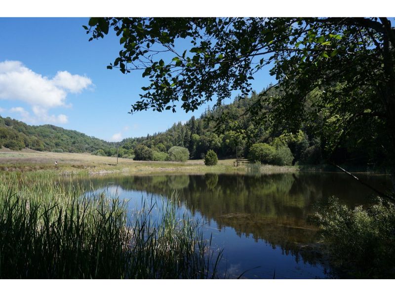 Palomar Mountain, tucked away in the peaks of Northern San Diego County, makes for a perfect day trip for those eager to escape the city life