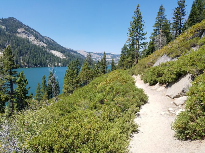 Traversing the Tahoe Rim Trail offers access to breathtaking vistas and lush natural landscapes.
