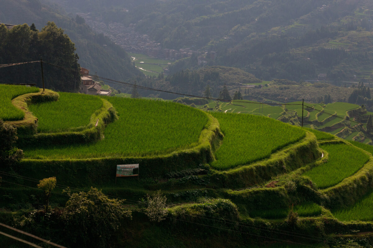A Beautiful shot of green landscape with trees and grass in Shuanghe Caves, Qingyan Town,