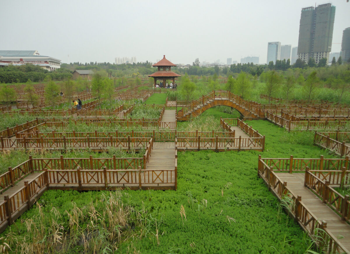 A maze in a pond at Wuyuanwan wetland park