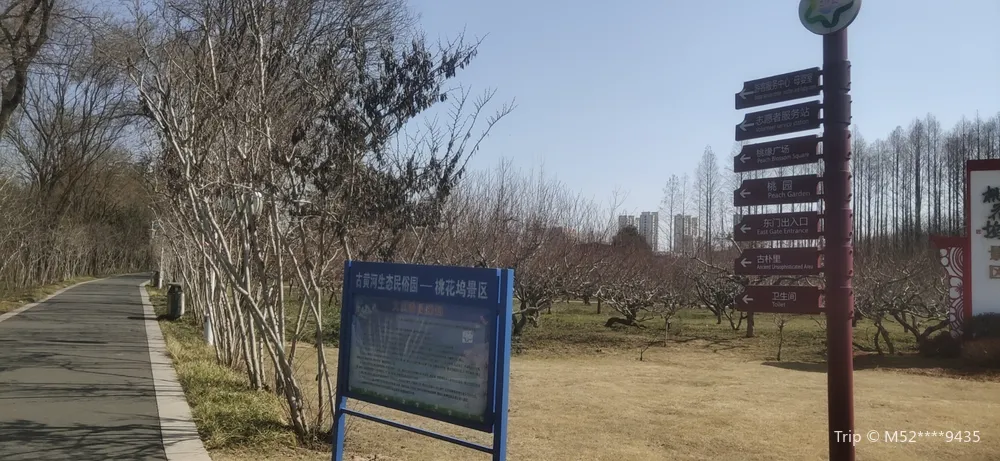 Taohuawu Park