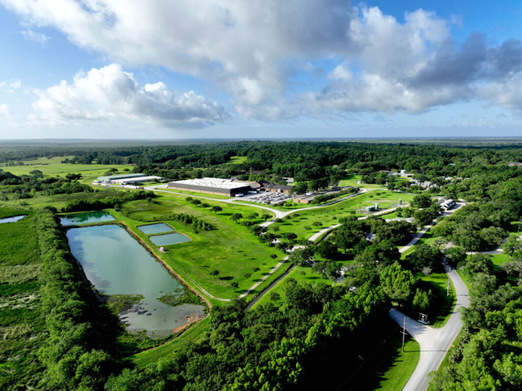Aerial view of Avery Island Louisiana