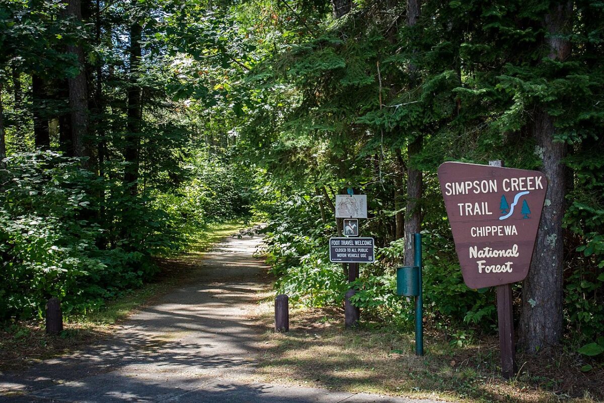 Chippewa National Forest