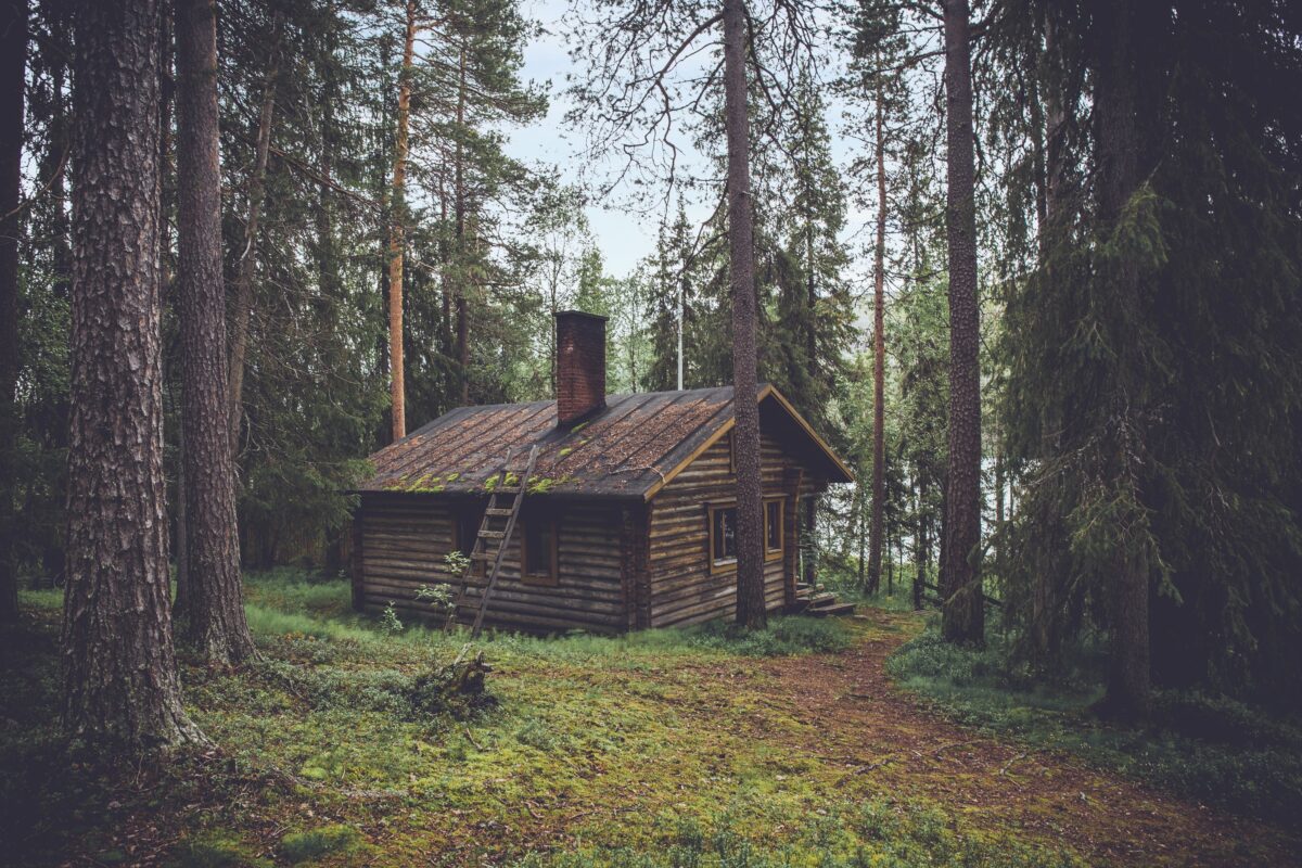 Forest cabin for camping