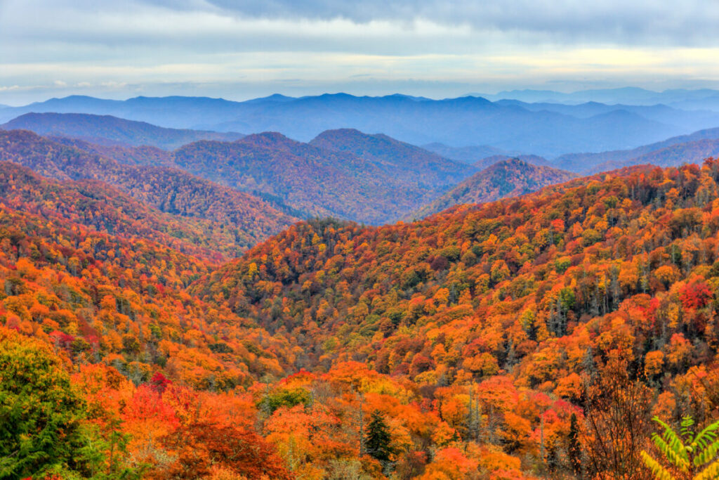 Autumn colors in Great Smoky Mountains National Park