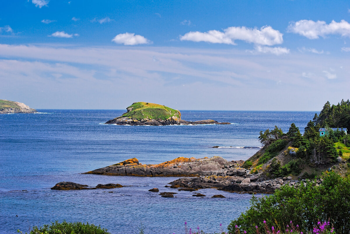 Coastline with a green island in Newfoundland