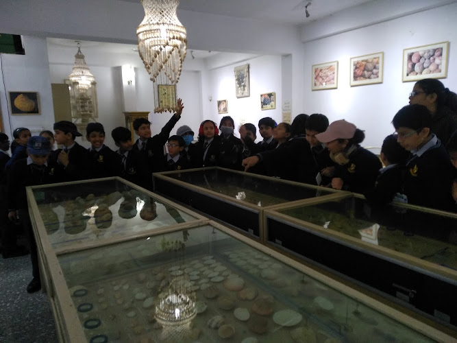 Alice Garg National Seashell Museum Jaipur