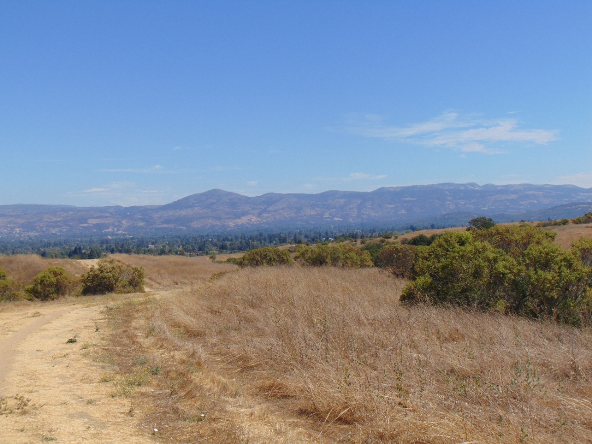 Trail in Alston Park, Napa, California