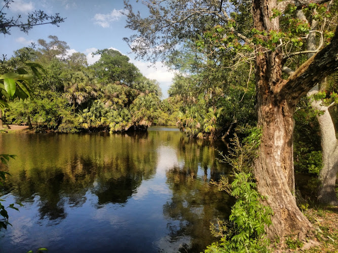 Bayou Metairie