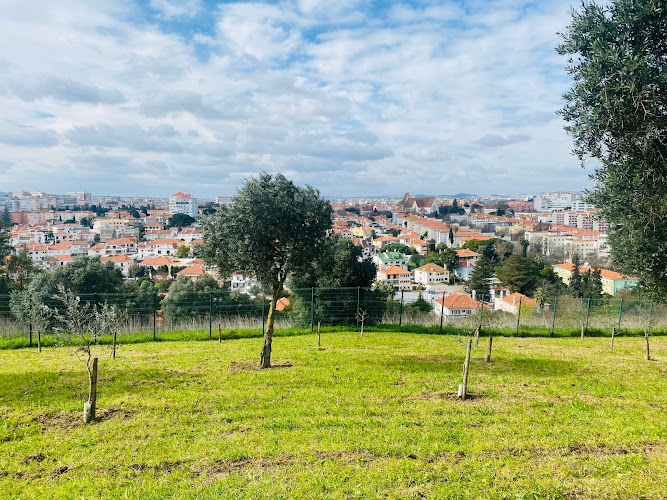 Bela Vista Park (Garden)