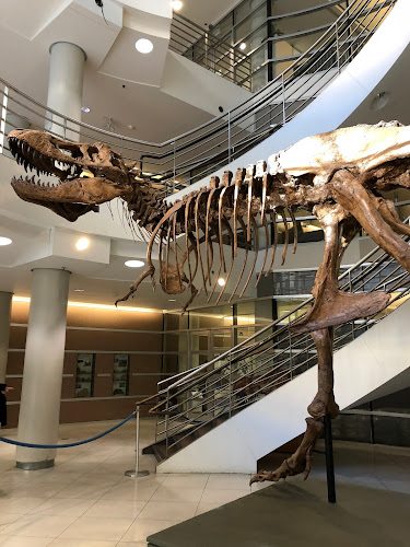 Berkeley Natural History Museums
