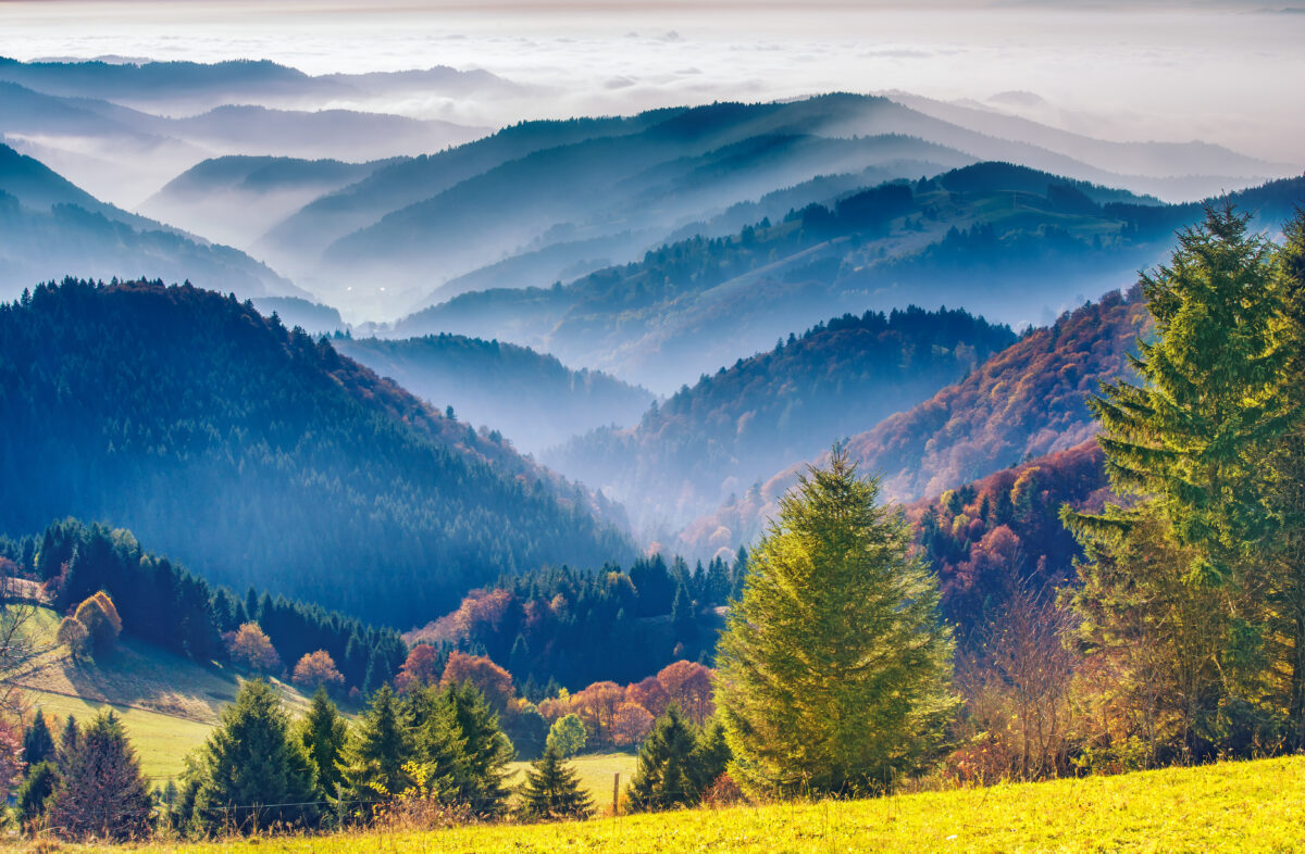 View on the Black Forest in Germany,