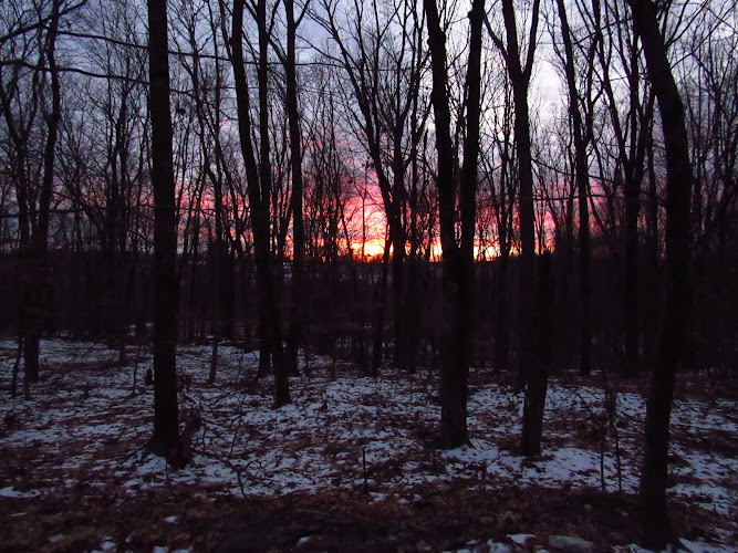 Boyd Woods Audubon Sanctuary