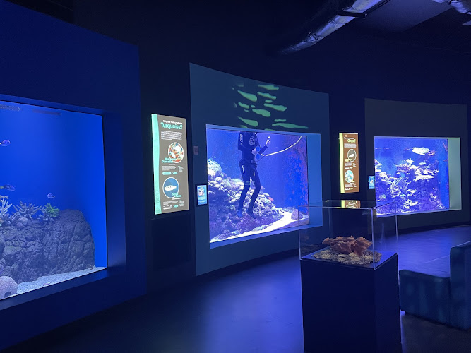 Cairns Aquarium