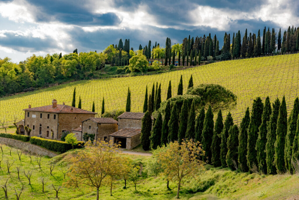 Panoramic view of Chianti, Tuscany, Italy hills and vineyards