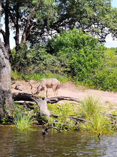 Chobe National Park
