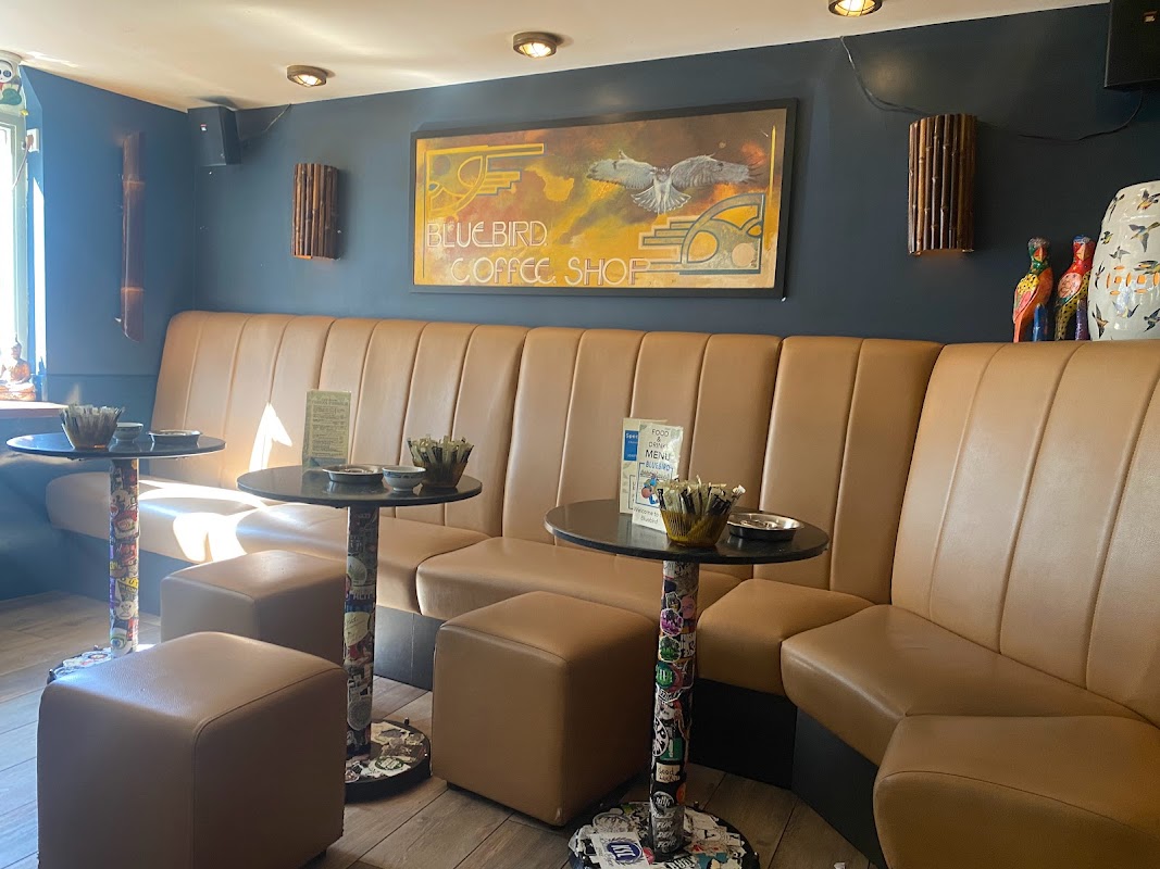 Coffeeshop Bluebird