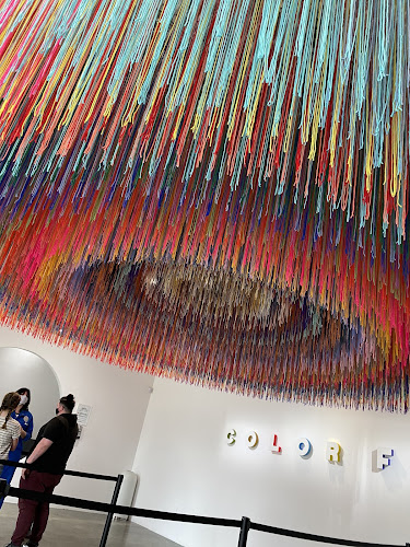 Color Factory Houston