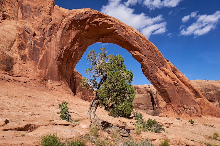 Corona Arch
