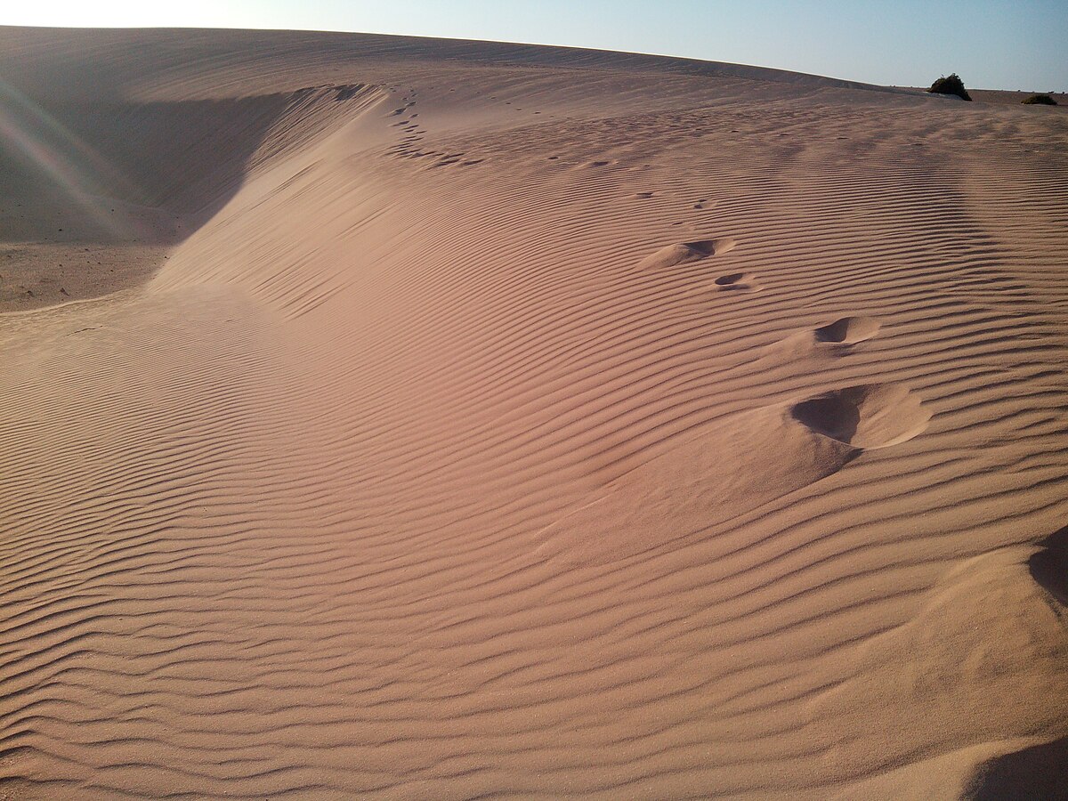 Corralejo's Dunes Spain