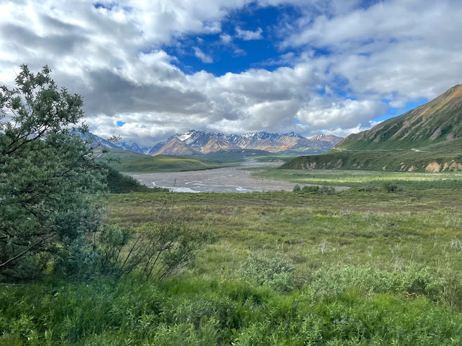 Denali National Park Tours Doyon/Aramark Joint Venture