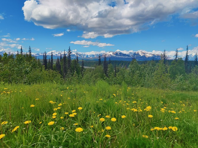 Denali View North