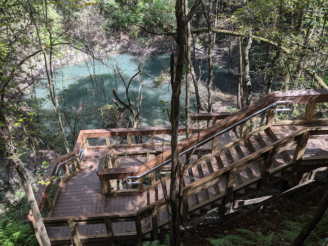 Devil’s Millhopper Geological State Park