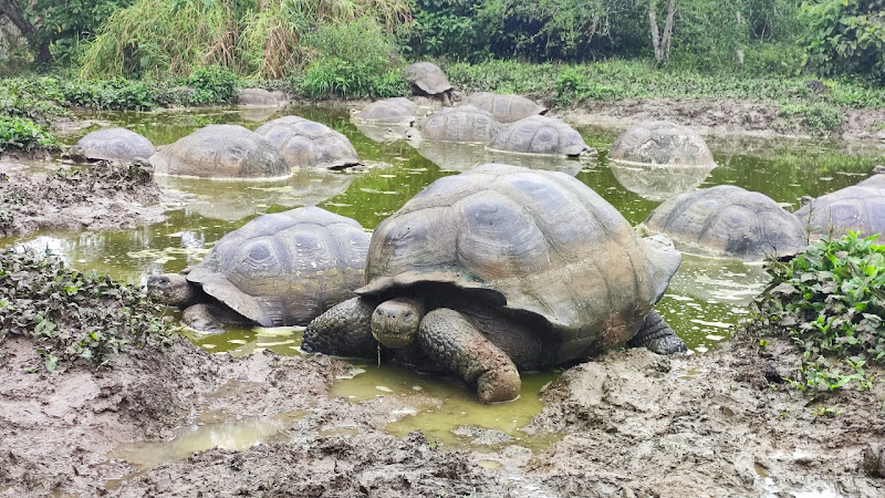 Galapagos frontier