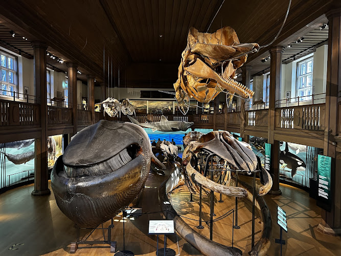 Gothenburg Museum of Natural History