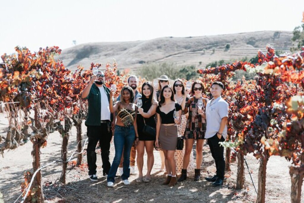 Small group on Napa Valley and wine tasting experience