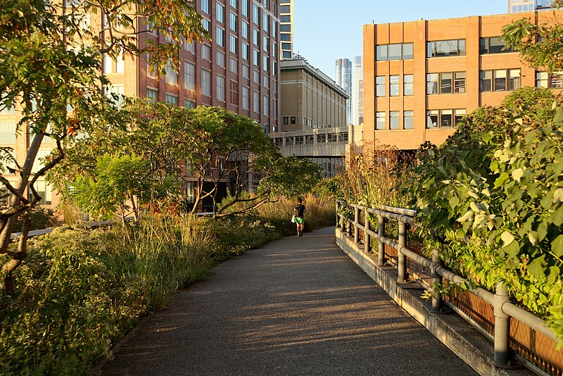 Beautiful walking trail on the High Line with modern architecture and native plants