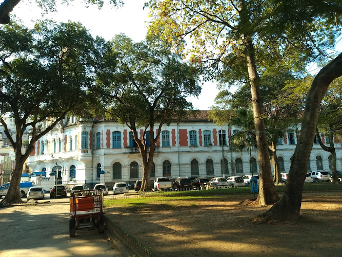 Institute of Research and New Black Memory